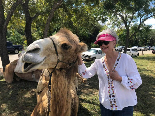Texas Arts and Crafts Fair